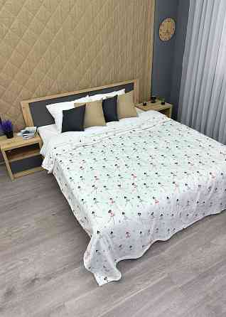 Плед-покривало Decorator WellSoft Dancer 200х205 см з принтом "Балерини" (87-187) Київ