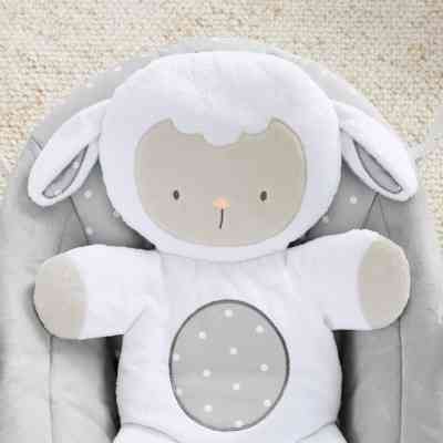 Кресло-качалка Ingenuity Comfort 2 Go – Cuddle Lamb (12184) Винница