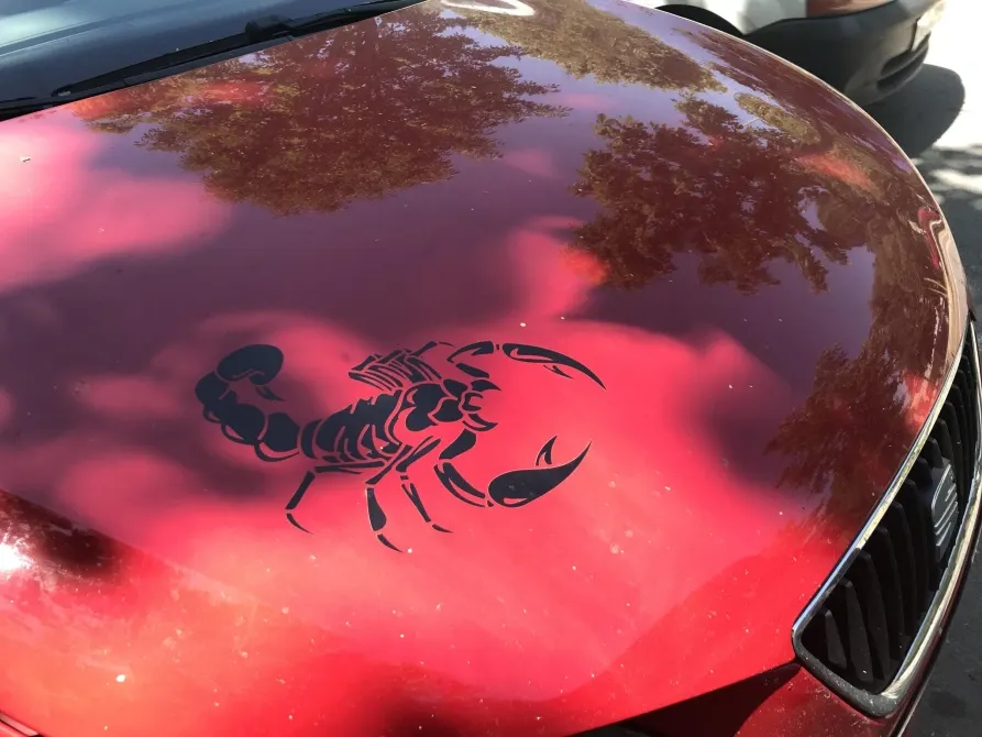 Наклейка на авто Скорпион Чёрная 2 шт. Київ - фото 5