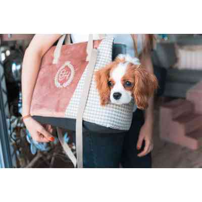 Переноска для тварин Chloe&apos;s Home Porto 43x27x17 см рожева (CLH1240) Вінниця