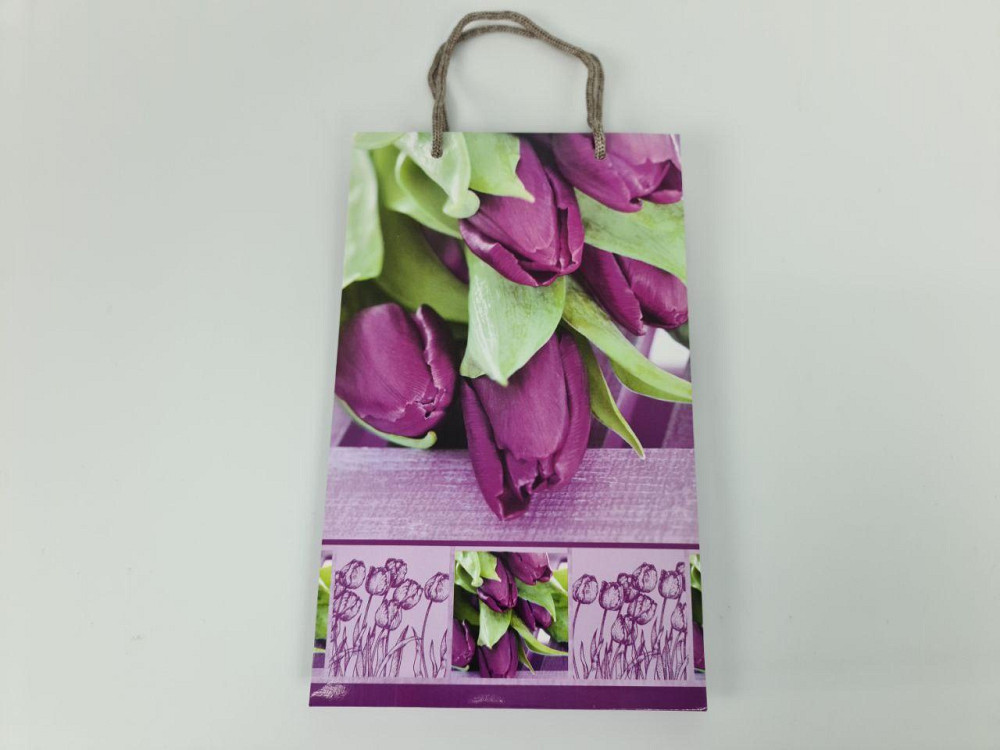 Бумажный пакет подарочный Средний 17/26/8 (артSV-124) (12 шт) Харьков - изображение 3