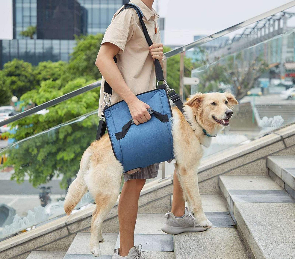 Слінг для перенесення собак COODEO Луцьк - фото 1