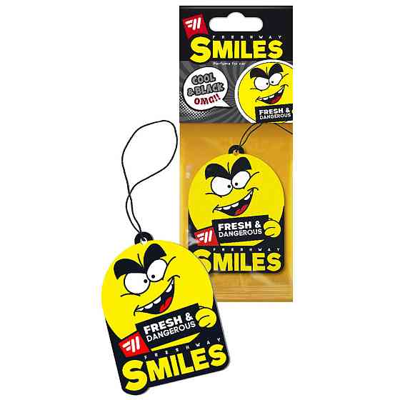 Ароматизатор для авто листочок "Smiles Dry" Cool and Black (Чорний лід) FreshWay Київ