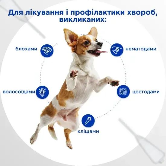 Селавет (Selavet) противопаразитарные капли для собак от 10,1 кг до 20,0 кг, 2,0 мл, MODES Винница - изображение 3