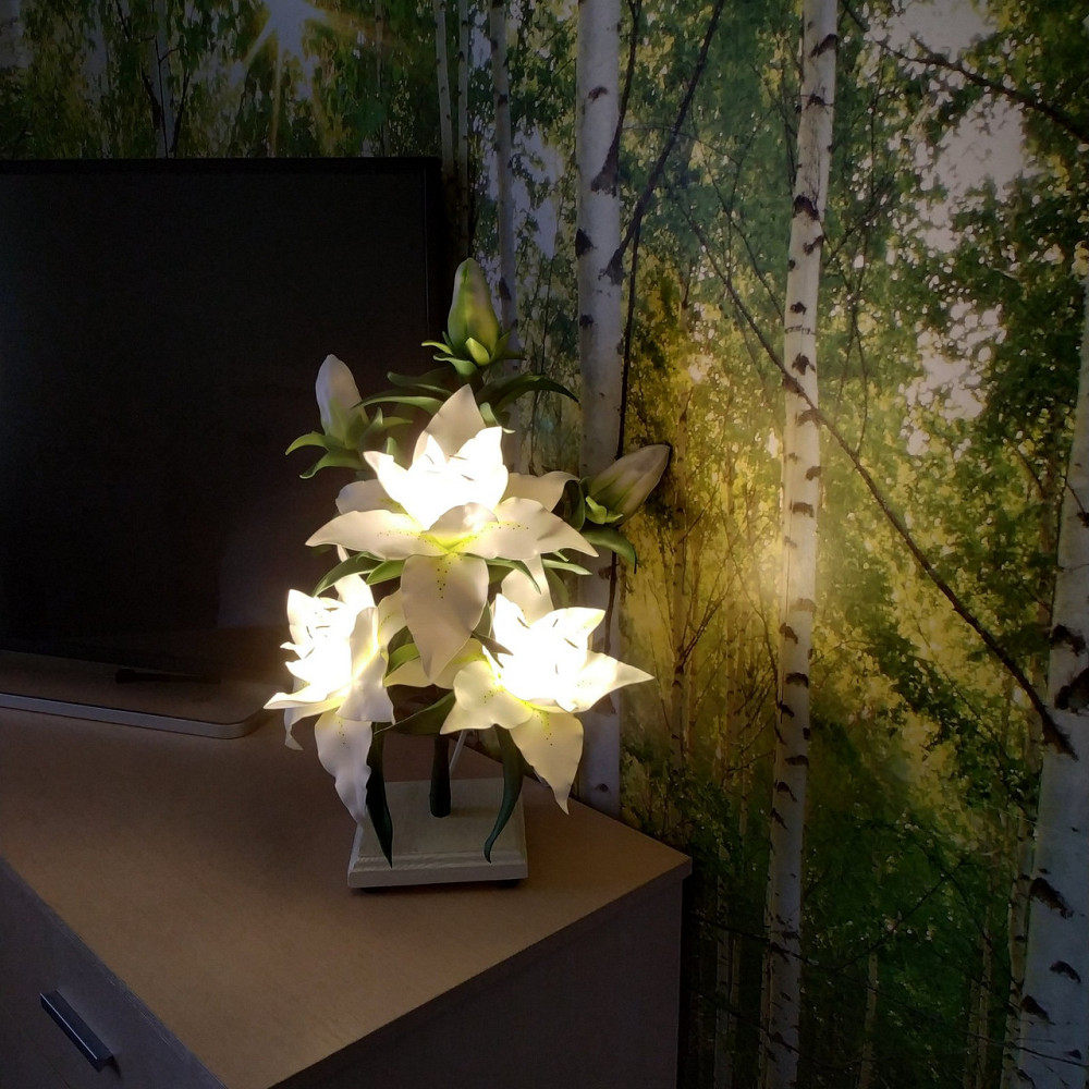 Світильник-нічник "Біла королева" Дніпро - фото 9