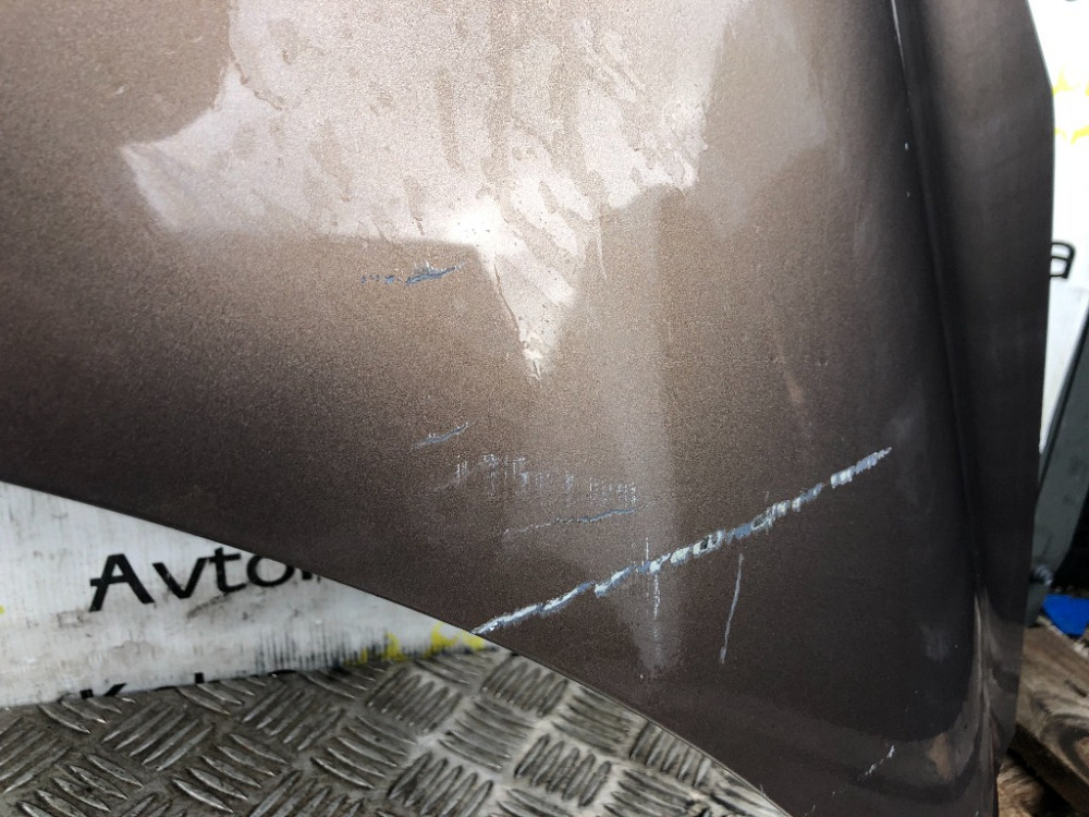 Капот Renault Scenic III 2008-2012 Ковель - фото 2