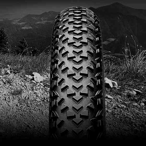 Покрышка Continental Race King, 27.5 x 2.00, черная, не складная skin Киев