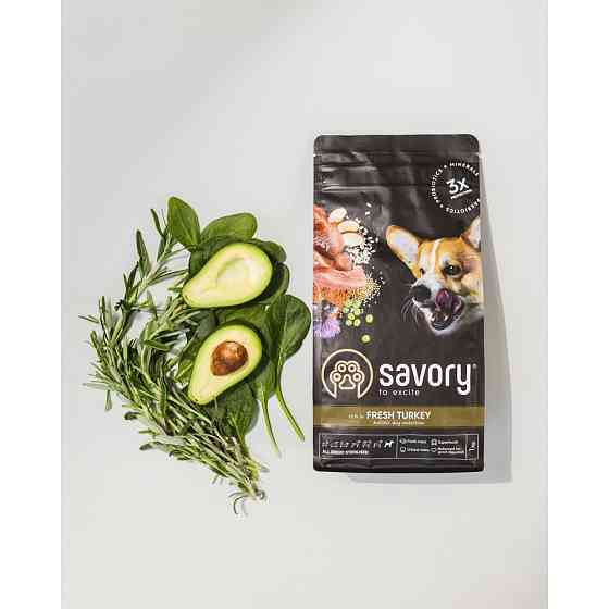 Сухой корм Savory All Breed для стерилизованных собак всех пород, со свежей индейкой, 1 кг Винница