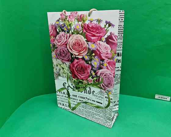 Большой бумажный пакет вертикальный  25/37/8(артBV-071) (12 шт) Харьков