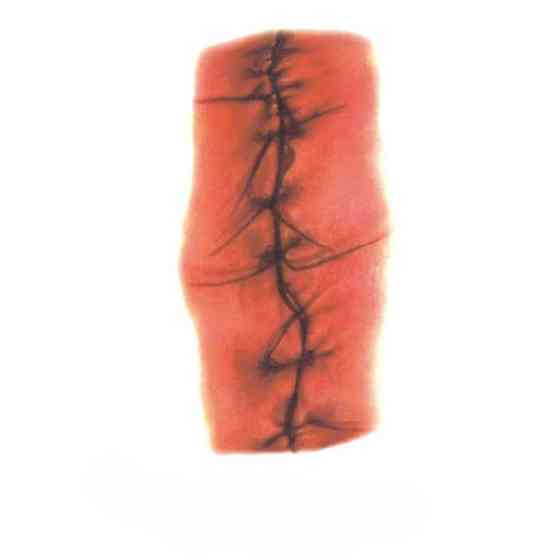 Тату наклейки Шов на рані для Хелловіну 10 на 6 см червоний Київ