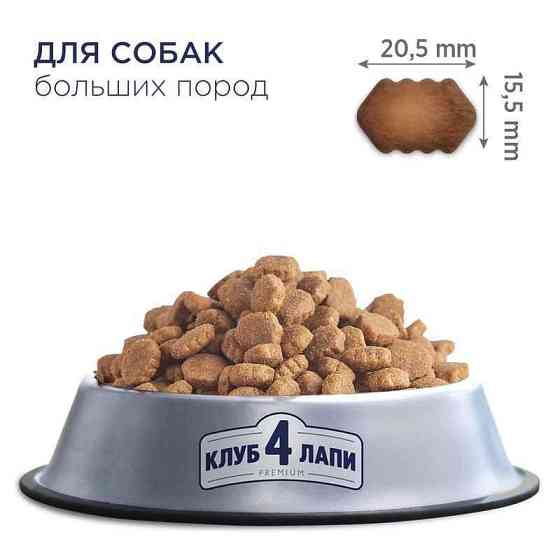 Club 4 Paws (Полуб 4 Лапи) Premium Adult Large Breed Chicken сухий корм із куркою для собак великих порід 14 кг Запоріжжя