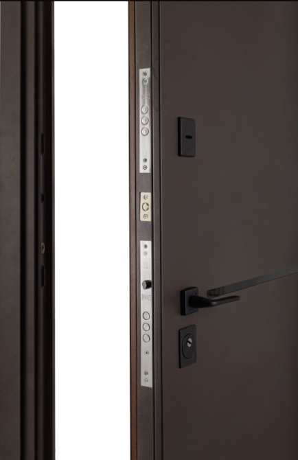 Двері вхідні Гермес Форест 031 RAL 156/ПВХ Дуб темний + молдинг 960х2050 мм Київ - фото 3