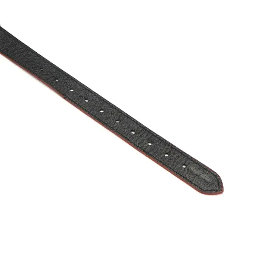 Кляп Liebe Seele Wine Red Ball Gag Львів