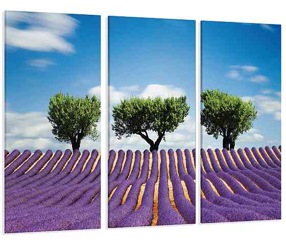 Модульная картина Поле Лаванды Art-46_XXL 70x130 см Киев