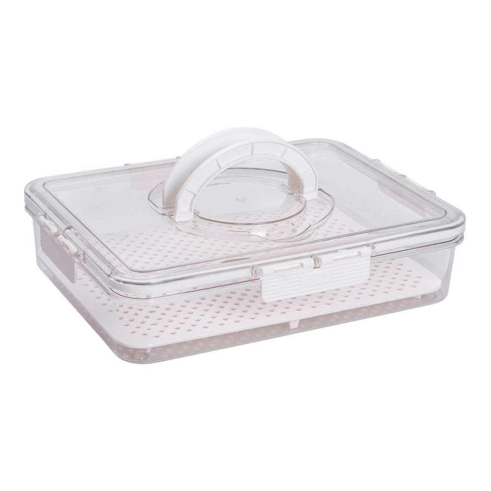 Yiwu Контейнер для їжі з ручкою 31х24х7 см пластиковий харчовий контейнер 2.5 л HP-27-10 Коломыя - изображение 4