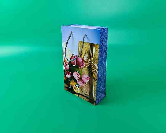 Паперовий пакет подарунковий Середній 17/26/8 (артSV-102) (12 шт.) Харків