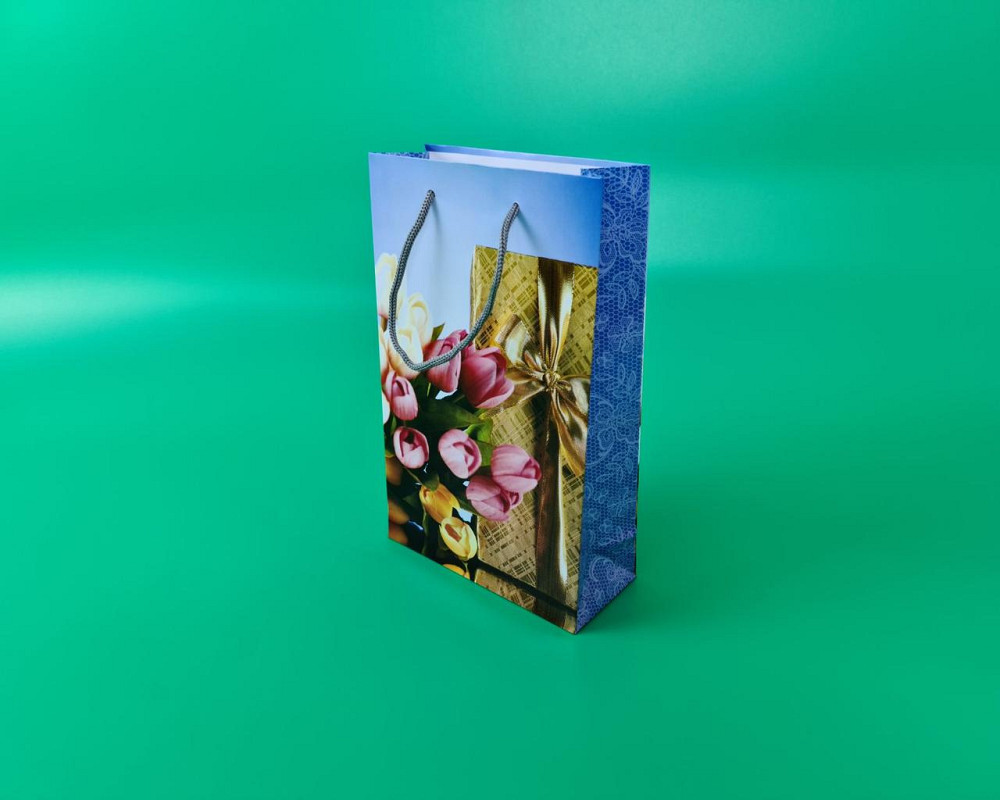 Паперовий пакет подарунковий Середній 17/26/8 (артSV-102) (12 шт.) Харків - фото 1