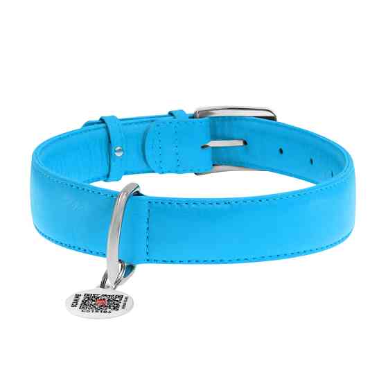 Нашийник для собак шкіряний WAUDOG Glamour з QR паспортом, без прикрас, XL, Ш 35 мм, Дов 46-60 Коломыя