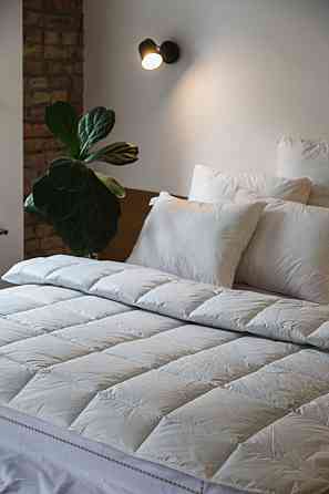 Ecotton Ковдра Ecotton Ecofill Premium 172х205 см двоспальна антиалергенна з біопухом біла в чо Коломия