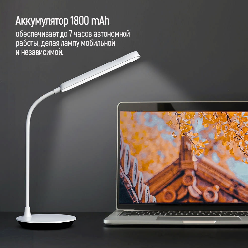 Лампа настільна LED з вбудованим акумулятором білий Portable & Flexible 360 ColorWay Житомир - фото 9