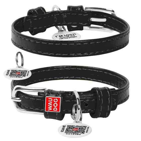 Нашийник для собак шкіряний WAUDOG Glamour з QR паспортом, без прикрас, XXS, Ш 9 мм, Дов 19-25 Коломия
