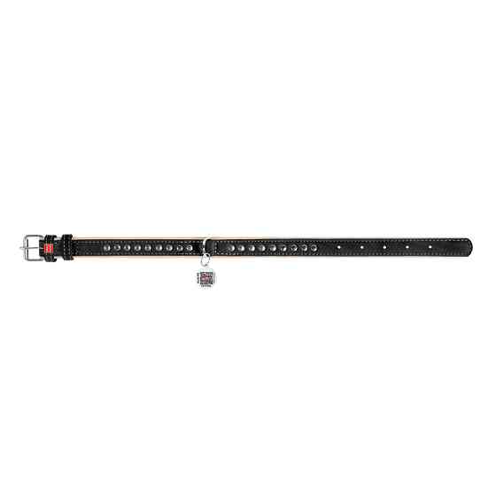 Нашийник для собак шкіряний WAUDOG Soft з QR паспортом, металічні прикраси, Ш 15 мм, Дов 27-36 Коломия