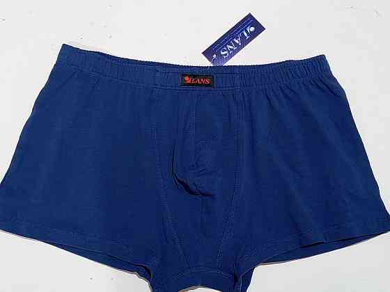 Трусы мужские боксеры Lans 07/005 L, Синий Киев
