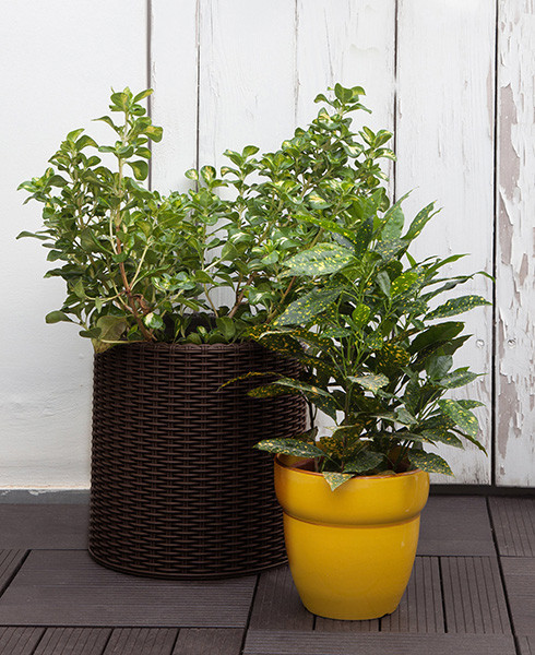 Горщик для квітів Keter 39 л. Cylinder Planter Large, коричневий Київ - фото 5
