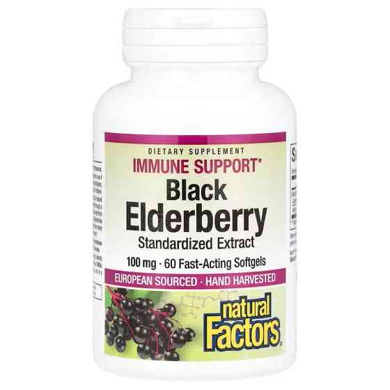 Екстракт чорної бузини Natural Factors Black Elderberry, 100 mg, 60 Fast-Acting Softgels Луцьк