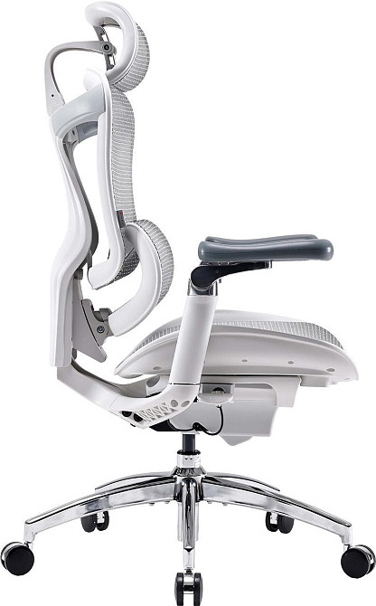Крісло офісне Sihoo Doro C300 Pro Mesh White (DORO-C300-PRO-M102) ( 11715 ) Харків - фото 18