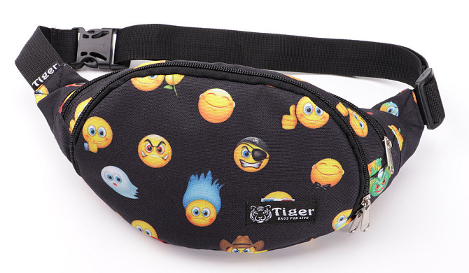 Сумка-бананка Tiger Moon Print Смайлы 2 S207310 Киев - изображение 1