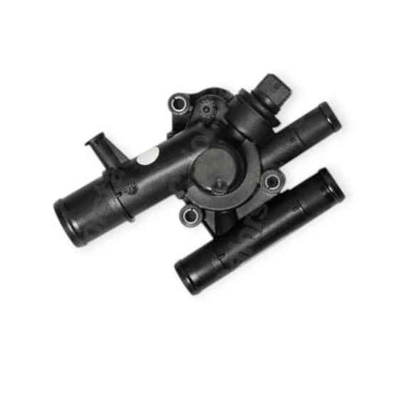 Термостат Megane II, Scenic II, Nissan Primera P12 1.9D (2003-) Renault Мукачево