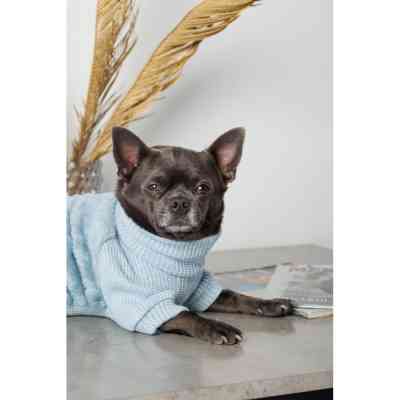 Свитер для животных Pet Fashion Fur S (4823082436057) Винница