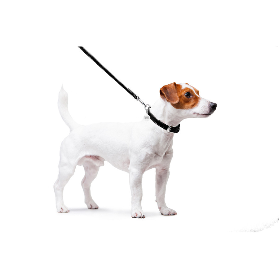 Повідець для собак шкіряний WAUDOG Glamour, Ш 12 мм, Дов 122 см чорний Коломия - фото 3