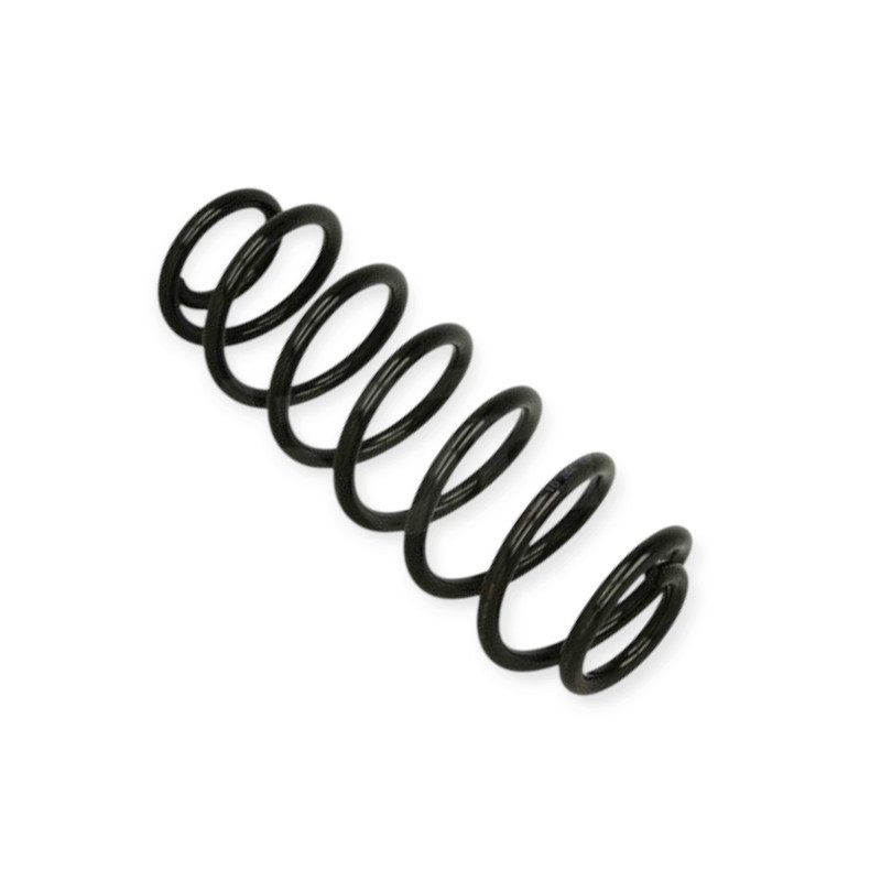 Пружина Audi A3, Kia Cerato 96- () задняя Мукачево - изображение 1