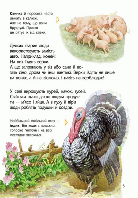 Детская энциклопедия про животных 614005 для дошкольников Винница - изображение 8