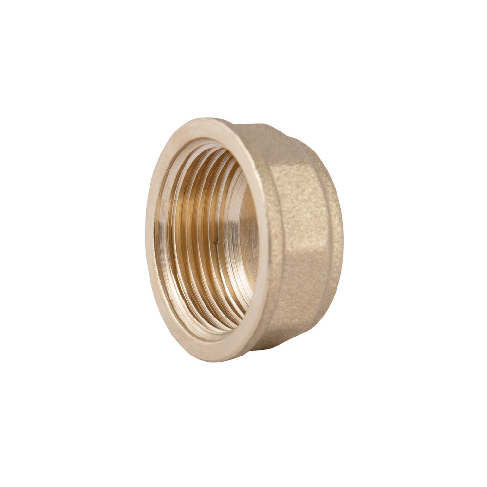 Заглушка Thermo Alliance Standart 3/4" ВР SD40220 Київ - фото 6