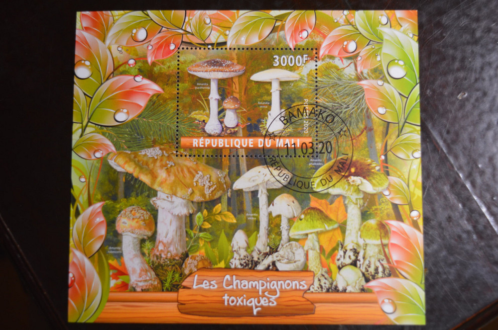 Малі. Марки. Фауна. Блок. 2020 рік (В-1) Полтава - фото 1