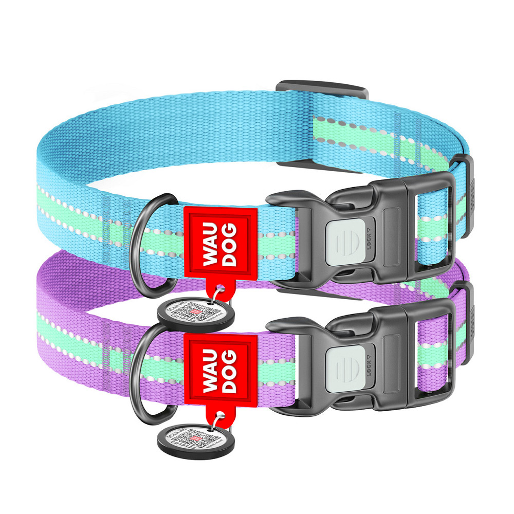 Ошейник для собак нейлоновый WAUDOG Nylon с QR паспортом, светонакопительный/светоотражающий, пластиковый фастекс, Ш 25 мм, Киев - изображение 1