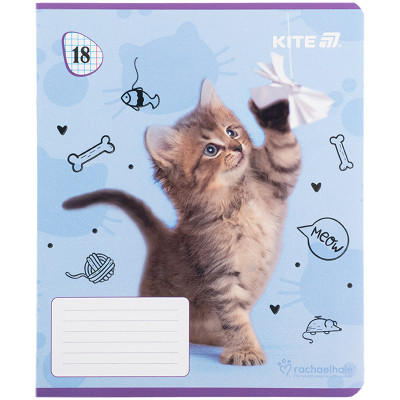 Зошит Kite Rachael Hale, 18 аркушів, клітинка (R25-236) Вінниця - фото 11