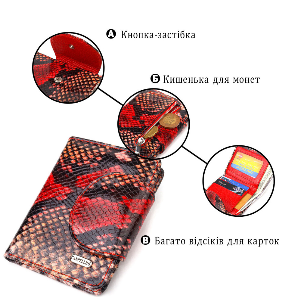 Невеликий жіночий гаманець з натуральної шкіри з тисненням під змію CANPELLINI 21667 Різнокольоровий Київ - фото 8