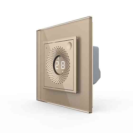 Термометр-гігрометр LIVOLO, 230В, золотий Коломыя