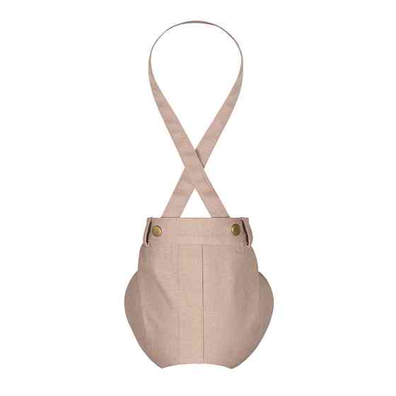 Шорти Pet Fashion Leo для собак XS Київ
