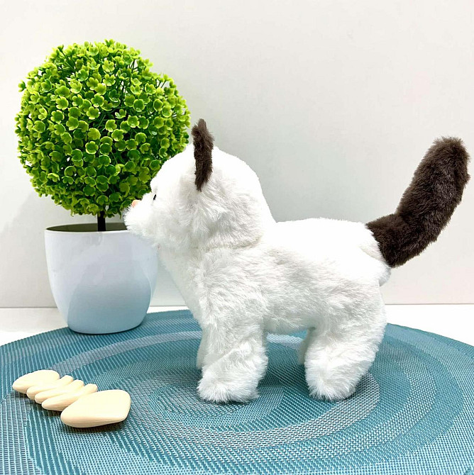 Кошеня інтерактивне ходить видає звуки ворушить хвостиком в рюкзаку Білий з чорним (777-23C) Чернігів - фото 2