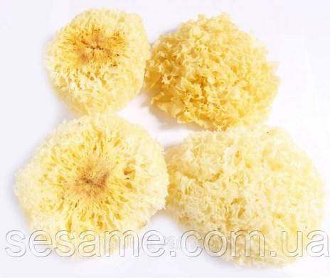 Коралловый гриб сушеный, снежный гриб, серебряные ушки 1кг (Китай) Харьков - изображение 2