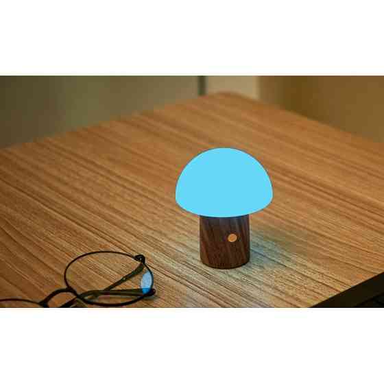 Светильник на аккумуляторе Gingko Alice Mushroom Lamp Super Mini, орех | G022S-WT Винница