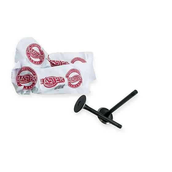 Клапана Master Sport впуск (1,5) 2108 Мукачево