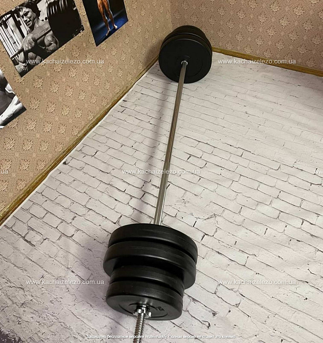 Штанга набірна + гантелі на 90 кг Гантелі, гирі, штанги та диски ударостійкий пластик Київ - фото 7