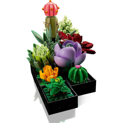 Конструктор LEGO Botanicals Суккуленты (10309-) Винница - изображение 10