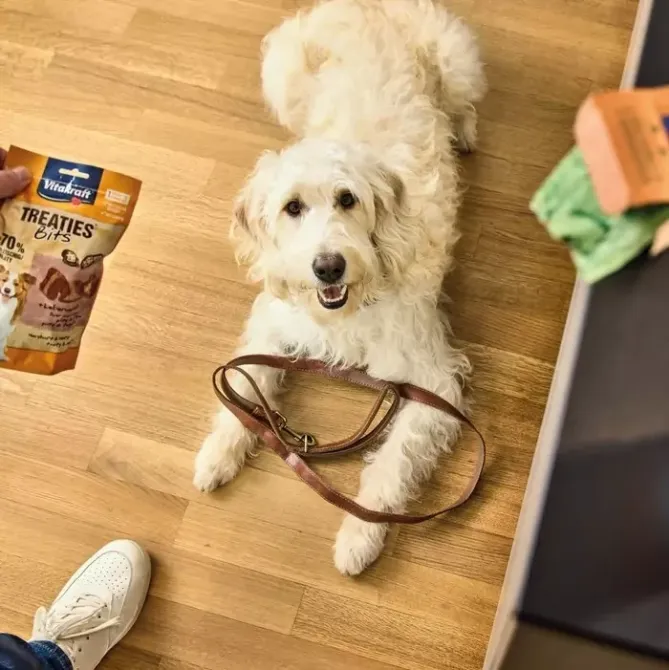 М’які закуски для собак Вітакрафт Vitakraft Treaties BITS ласощі з ліверною ковбасою, 120 г Вінниця - фото 4